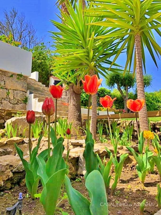 Hotel Casalinho Da Azenha - Charm House Sintra Zewnętrze zdjęcie